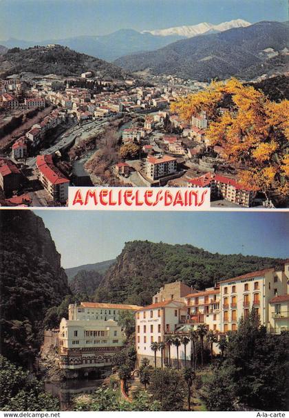 66 AMELIE LES BAINS PALALDA VUE GENERALE