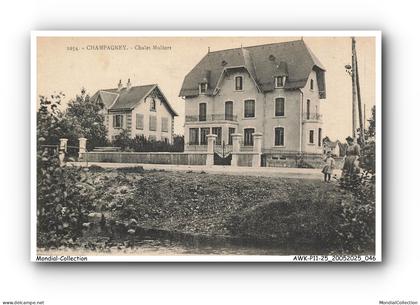 AWKP11-0653-25 - CHAMPAGNEY - Chalet multort