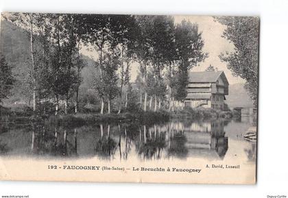 FAUCOGNEY - Le Breuchin à Faucogney - 192 - état