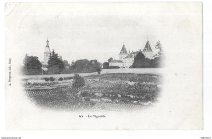 Gy, le vignoble (A21p11)