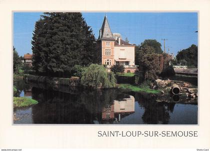 70 SAINT LOUP SUR SEMOUSE RIVIERE SEMOUSE