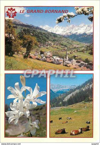 CPM Le Grand Bornand