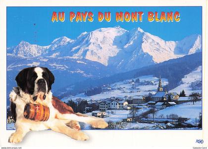 74 LE GRAND BORNAND LE GRAND BORNAND