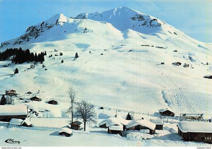 74 LE GRAND BORNAND SUPER GRAND BORNAND