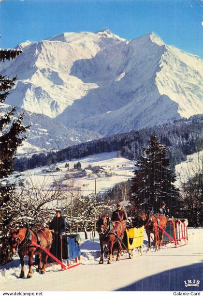 74 LE GRAND BORNAND SUPER GRAND BORNAND