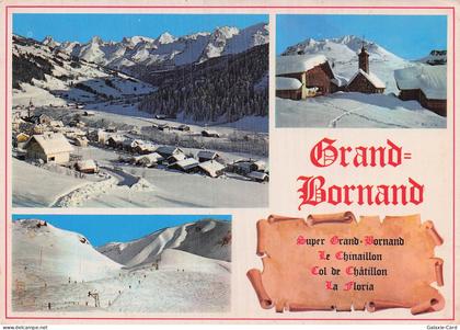 74 LE GRAND BORNAND SUPER GRAND BORNAND