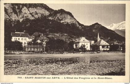 CPA Saint Martin sur Arve L Horel des Fougeres et le Mont Blanc