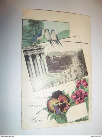 5bet - CPA - Pensée de Paris - Paris -  [75] - Paris -