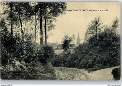 50807586 - La Trinite-du-Mont
