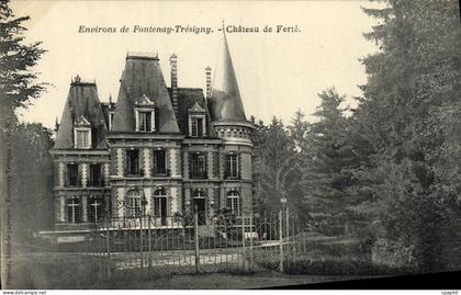 CPA Environs De Fontenay Tresigny Chateau De Ferte