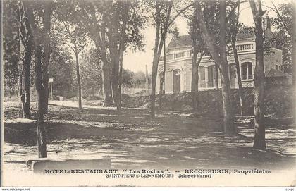 CPA Saint-Pierre-les-Nemours Hôtel Restaurant Les Roches