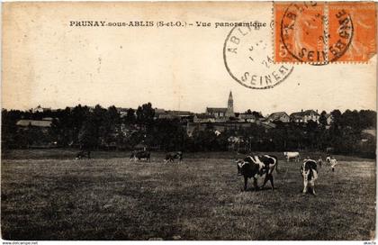 CPA Prunay-sous-Ablis - Vue panoramique (246399)