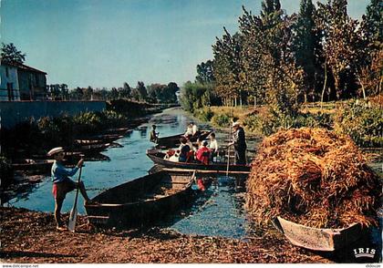 Carte Postale - 79 - Le Marais Poitevin - Venise Verte - Paysage pittoresque de la Venise Verte - Carte Neuve - CPM - Vo