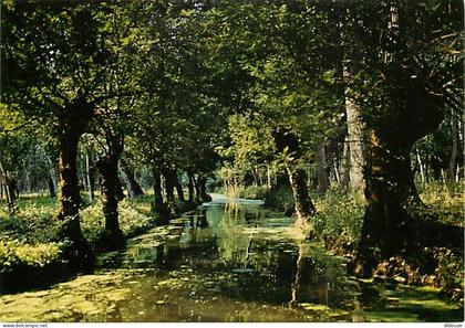Carte Postale - 79 - Le Marais Poitevin - Venise Verte - Promenade dans la Venise Verte - Carte Neuve - CPM - Voir Scans