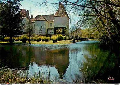 Carte Postale - 86 - Journet - Le Château du Ris aux environs de la Trimouille - Carte Neuve - CPM - Voir Scans Recto-Ve