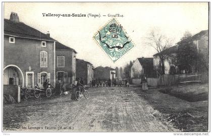 Carte Postale Ancienne de VALLEROY aux SAULES