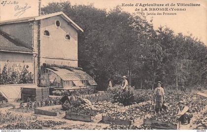 La BROSSE (Yonne) par Venoy près Auxerre - Ecole d'Agriculture et de Viticulture - Jardin des Primeurs - Ecrit (2 scans)