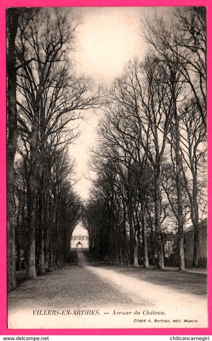 Villers en Arthies - Avenue du Château - Cliché A. BERTRAN - Edit. MANTES - 1909 - Oblit. DINAN