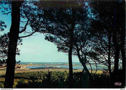 Carte Postale - 34 - Cap d'Agde - Le Plan d'eau vu du Mont Saint Martin - CPM - Voir Scans Recto-Verso - Poscard - Carta