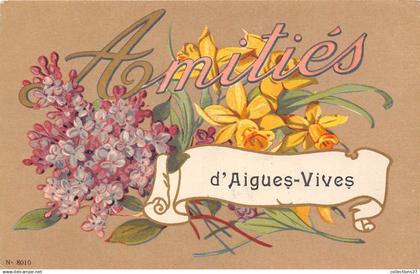30-AIGUES-VIVES- AMITIERS D'AIGUES-VIVES