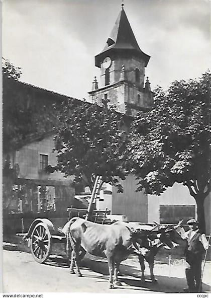 CPSM Ainhoa Le Village