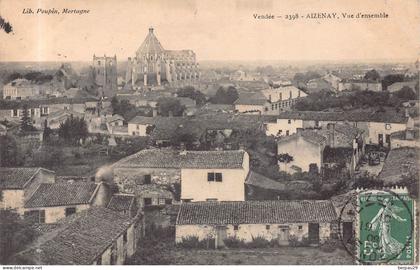 AIZENAY  -  Vue d 'ensemble