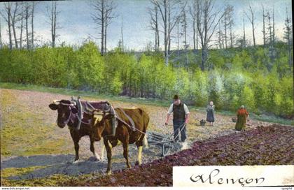 CPA Alencon Laboureur Charrue