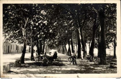 CPA Ales Promenade Des Platanes