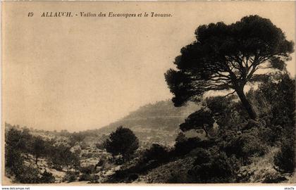 CPA MARSEILLE - Allauch Vallon des Escaoupres et le Taoume (986557)