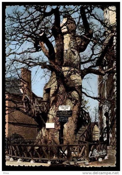 76 Allouville-Bellefosse arbre chene D76D K76758K C76001C RH095781