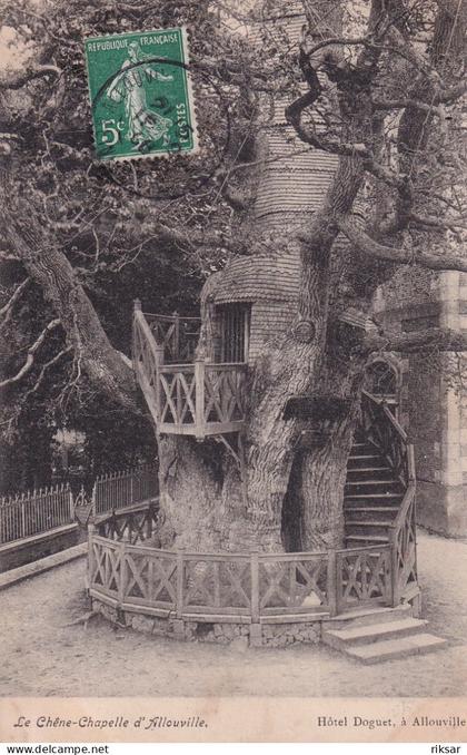 ALLOUVILLE BELLEFOSSE(ARBRE)