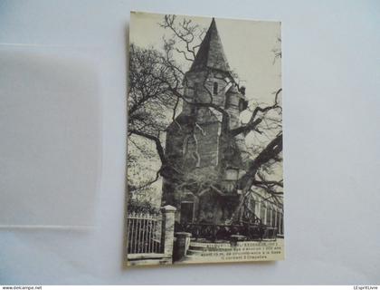 ALLOUVILLE BELLEFOSSE Le Gros Chêne  Carte Postale