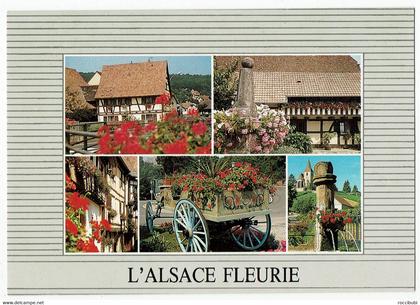 Alsace