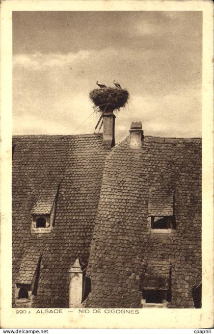 CPA Alsace Nid de Cigognes