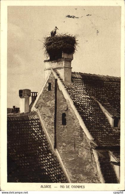 CPA Alsace Nid De Cigognes