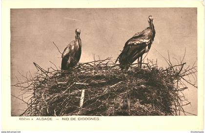 CPA Carte Postale  France-Alsace Nid de Cigognes  VM50985
