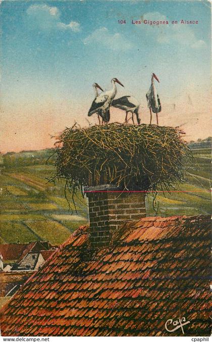 CPA Les Cigognes on Alsace