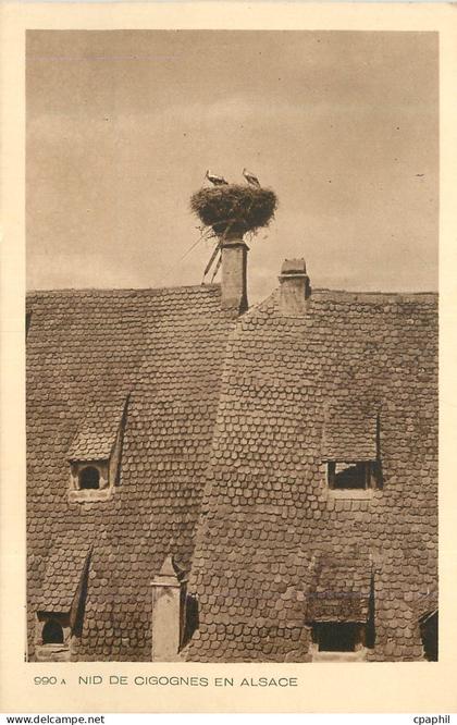 CPA Nid de Cigognes en Alsace