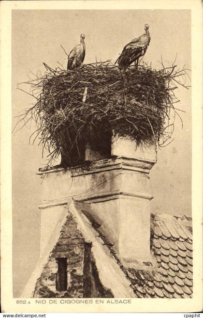 CPA Nid de Cigognes en Alsace
