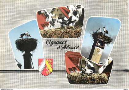 CPM Souvenir D Alsace Cigognes