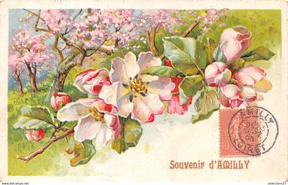 45-AMILLY- SOUVENIR D'AMILLY
