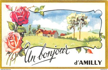45-AMILLY- UN BONJOUR D'AMILLY