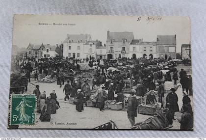 Cpa 1908, Ancenis, marché aux bœufs, Loire Atlantique 44