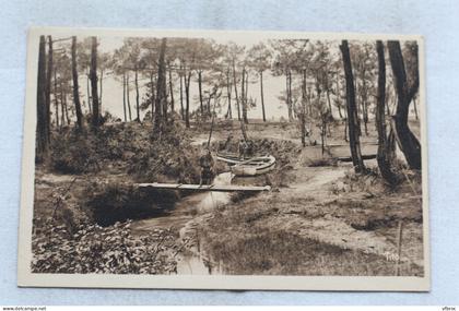 Cpa 1936, Andernos les Bains, le Betey, la forêt, Gironde 33
