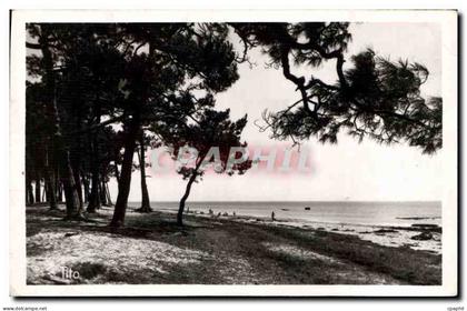 CPA Andernos les Bains Pins Rivant la Plage du Mauret