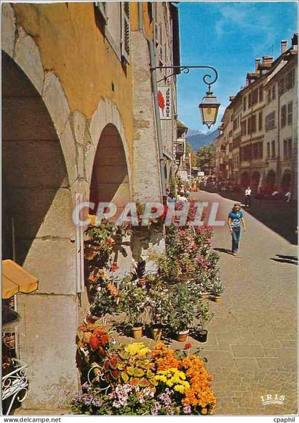CPM Annecy Haute Savoie Ville fleurie Zone pietonne dans la rue du Paquier