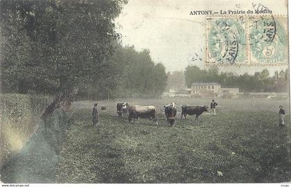 CPA Antony La Prairie du Moulin