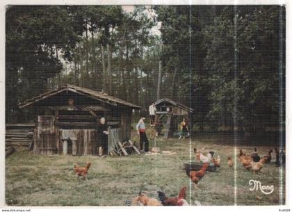 AK 266046 FRANCE - La Douce Aquitaine