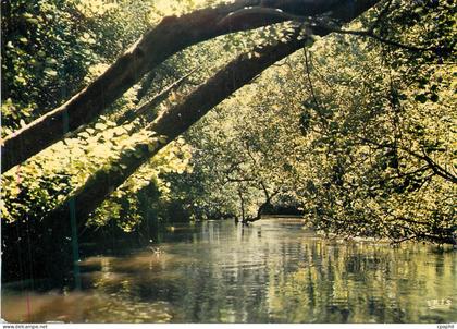 CPM Cote Aquitaine Leon L Amazonie landaise Le courant d Huchet