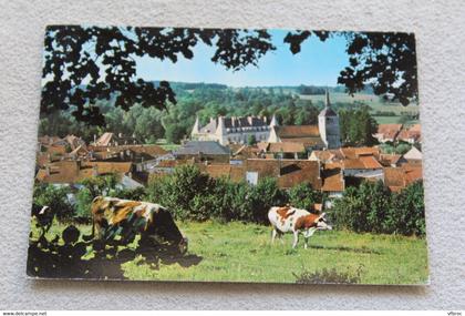 Cpm 1978, Arc en Barrois, vue prise de la Motte, Haute Marne 52